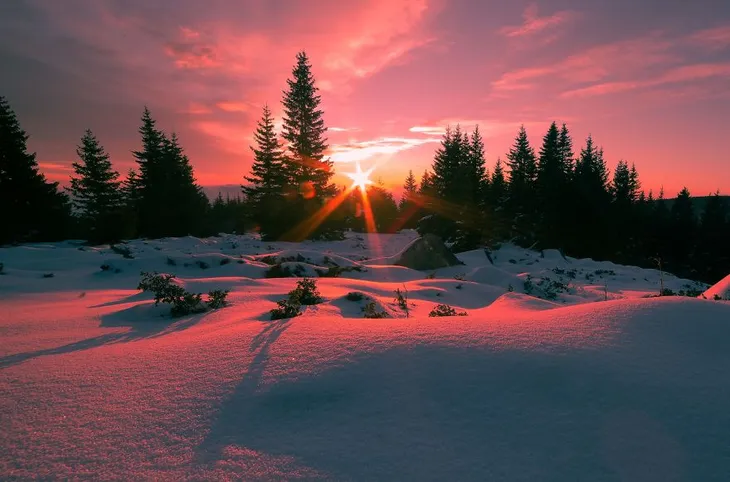 Không chỉ có hoa hồng, Bulgaria còn mê hoặc du khách vì điều này! - Ảnh 4. Không chỉ có hoa hồng, Bulgaria còn mê hoặc du khách vì điều này! - Ảnh 4.