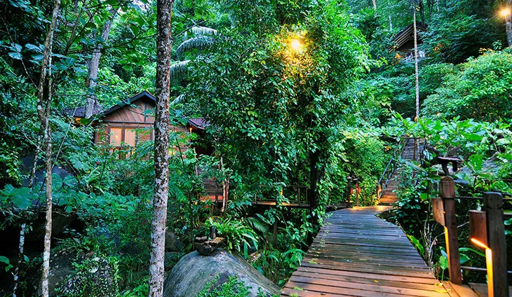 Đảo Tioman - Viên ngọc xanh biếc của Malaysia - Ảnh 8. Đảo Tioman - Viên ngọc xanh biếc của Malaysia - Ảnh 8.
