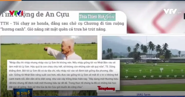 Tỏi cô đơn liệu có thể tiếp tục cô đơn ở Lý Sơn? - Ảnh 2.