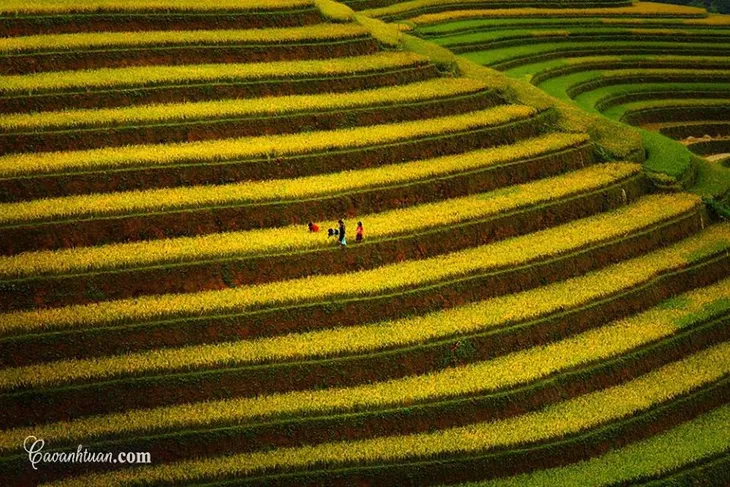 Thời tiết này đi đâu - Bản tin thời tiết và du lịch độc đáo trên truyền hình - Ảnh 3. Thời tiết này đi đâu - Bản tin thời tiết và du lịch độc đáo trên truyền hình - Ảnh 3.