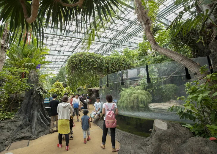 Du khách đến Tokyo không nên bỏ qua những điểm khám phá này - Ảnh 8. Du khách đến Tokyo không nên bỏ qua những điểm khám phá này - Ảnh 8.