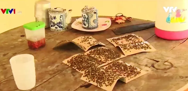 Vĩnh Long: Người dân bức xúc vì trại gà gây ô nhiễm - Ảnh 1. Vĩnh Long: Người dân bức xúc vì trại gà gây ô nhiễm - Ảnh 1.
