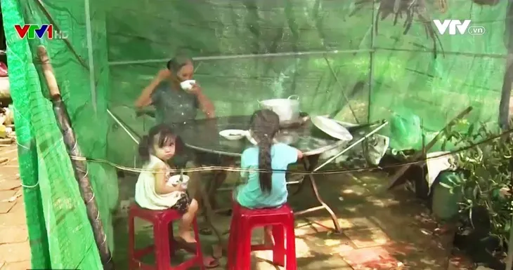 Vĩnh Long: Người dân bức xúc vì trại gà gây ô nhiễm - Ảnh 2. Vĩnh Long: Người dân bức xúc vì trại gà gây ô nhiễm - Ảnh 2.