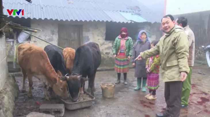 Băng giá bao trùm một số xã biên giới huyện Mèo Vạc - Ảnh 2. Băng giá bao trùm một số xã biên giới huyện Mèo Vạc - Ảnh 2.