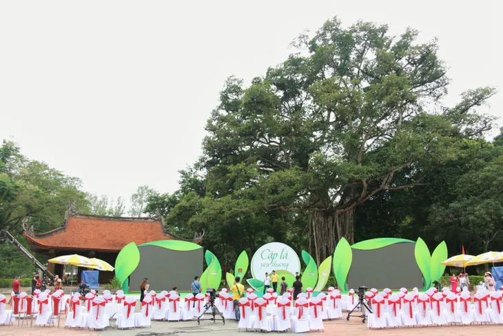 Cặp lá yêu thương 3 năm: Những hình ảnh từ Thanh Hóa - Ảnh 1. Cặp lá yêu thương 3 năm: Những hình ảnh từ Thanh Hóa - Ảnh 1.