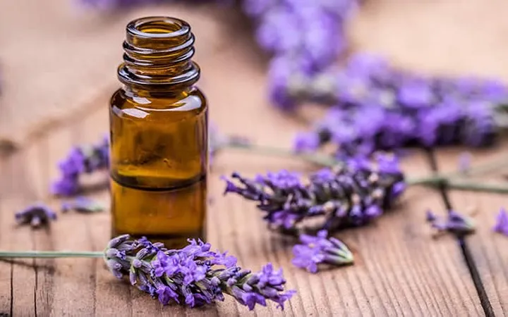 Những thực phẩm giúp mờ sẹo một cách tự nhiên - Ảnh 4. Những thực phẩm giúp mờ sẹo một cách tự nhiên - Ảnh 4.
