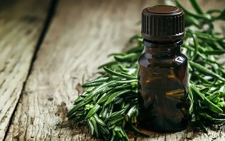 Những thực phẩm giúp mờ sẹo một cách tự nhiên - Ảnh 5. Những thực phẩm giúp mờ sẹo một cách tự nhiên - Ảnh 5.