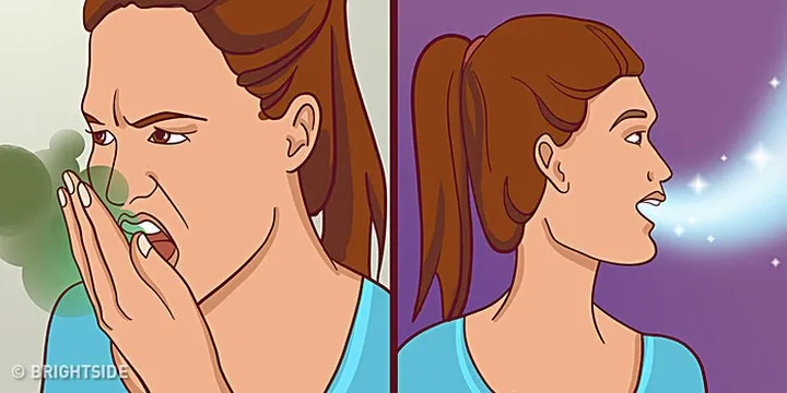 5 cách hữu hiệu để loại bỏ chứng hôi miệng - Ảnh 1. 5 cách hữu hiệu để loại bỏ chứng hôi miệng - Ảnh 1.