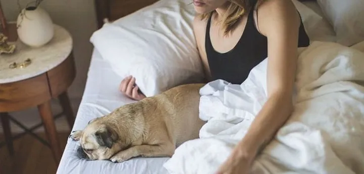 Nguy hiểm “chết người” từ thói quen trùm chăn kín đầu khi ngủ - Ảnh 3. Nguy hiểm “chết người” từ thói quen trùm chăn kín đầu khi ngủ - Ảnh 3.