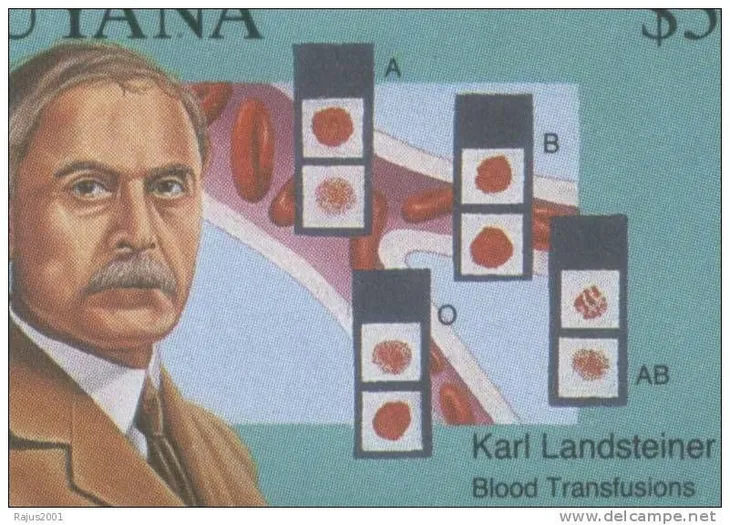 Những khám phá từng giành giải Nobel vĩ đại nhất trong lịch sử - Ảnh 3. Những khám phá từng giành giải Nobel vĩ đại nhất trong lịch sử - Ảnh 3.