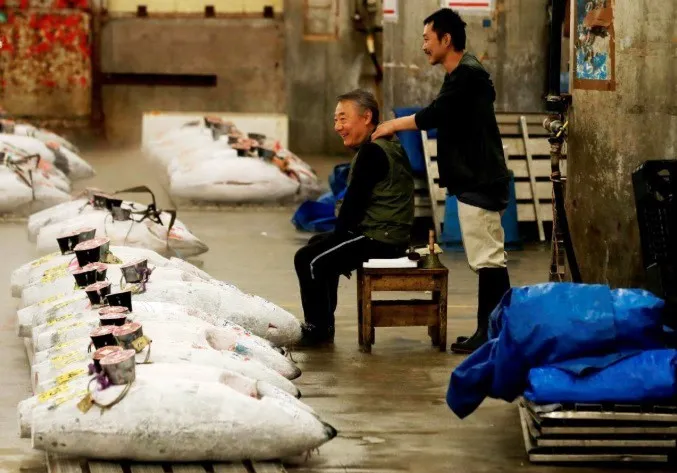 Phiên đấu giá cuối cùng năm 2018 tại chợ cá lớn nhất thế giới Tsukiji - Ảnh 4. Phiên đấu giá cuối cùng năm 2018 tại chợ cá lớn nhất thế giới Tsukiji - Ảnh 4.