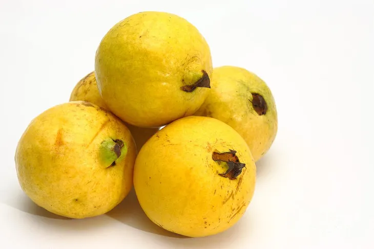 Ổi: Bài thuốc hữu ích cho hệ tiêu hóa - Ảnh 1. Ổi: Bài thuốc hữu ích cho hệ tiêu hóa - Ảnh 1.