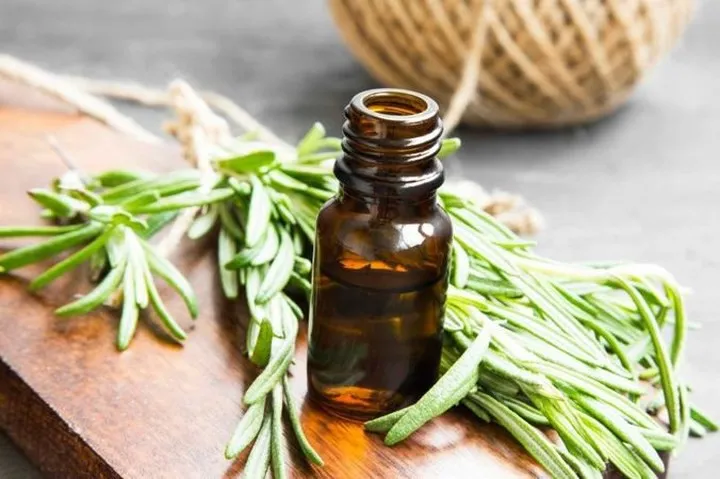 11 loại tinh dầu xóa tan nỗi lo lão hóa - Ảnh 2. 11 loại tinh dầu xóa tan nỗi lo lão hóa - Ảnh 2.
