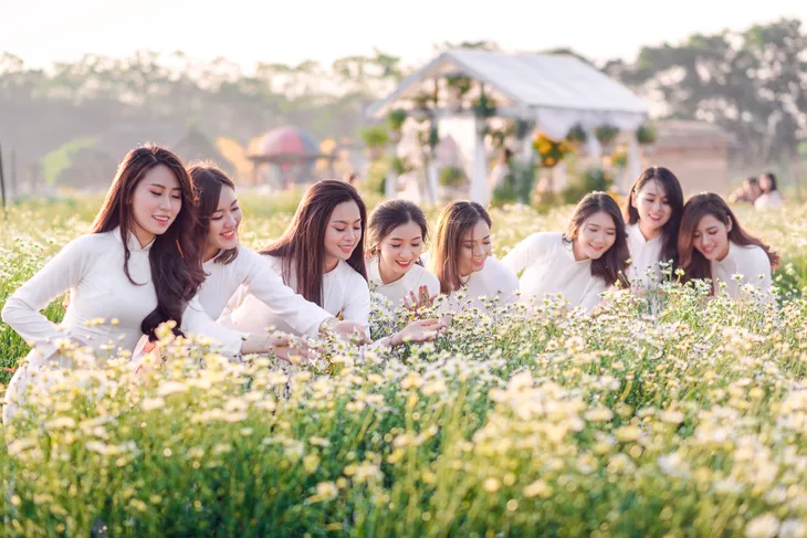 Thiếu nữ Hà Thành thướt tha tà áo dài bên cúc họa mi - Ảnh 9. Thiếu nữ Hà Thành thướt tha tà áo dài bên cúc họa mi - Ảnh 9.
