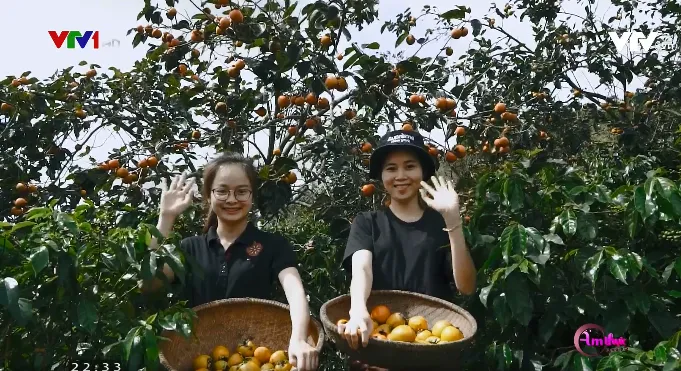 Hồng dẻo Đà Lạt - Món ăn dễ gây nghiện - Ảnh 1. Hồng dẻo Đà Lạt - Món ăn dễ gây nghiện - Ảnh 1.