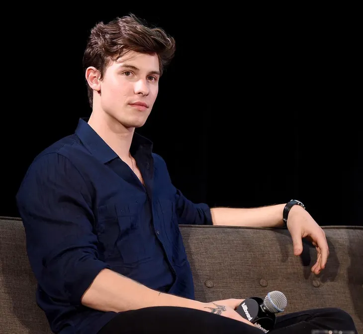 Bị soi mói đời tư, Shawn Mendes khẳng định không đồng tính - Ảnh 1.