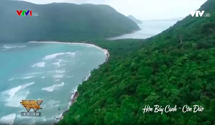 Những người cha chăm sóc cho hàng nghìn chú rùa con mỗi năm tại Côn Đảo - Ảnh 3. Những người cha chăm sóc cho hàng nghìn chú rùa con mỗi năm tại Côn Đảo - Ảnh 3.