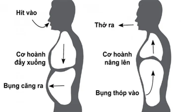 5 bài tập tại nhà người bệnh hen suyễn, COPD nào cũng phải biết - Ảnh 2.