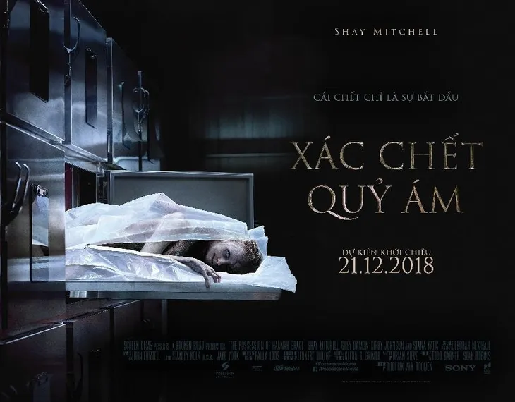 Xác chết quỷ ám - Phim kinh dị duy nhất mùa Giáng sinh - Ảnh 3. Xác chết quỷ ám - Phim kinh dị duy nhất mùa Giáng sinh - Ảnh 3.