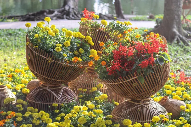Mãn nhãn tác phẩm hình rồng “khổng lồ” được tạo từ 1,2 tấn hoa quả ở Hà Nội - Ảnh 6. Mãn nhãn tác phẩm hình rồng “khổng lồ” được tạo từ 1,2 tấn hoa quả ở Hà Nội - Ảnh 6.
