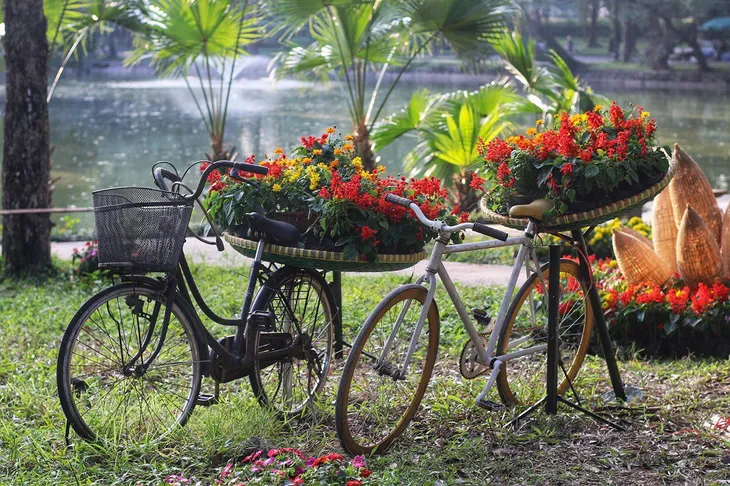 Mãn nhãn tác phẩm hình rồng “khổng lồ” được tạo từ 1,2 tấn hoa quả ở Hà Nội - Ảnh 9. Mãn nhãn tác phẩm hình rồng “khổng lồ” được tạo từ 1,2 tấn hoa quả ở Hà Nội - Ảnh 9.