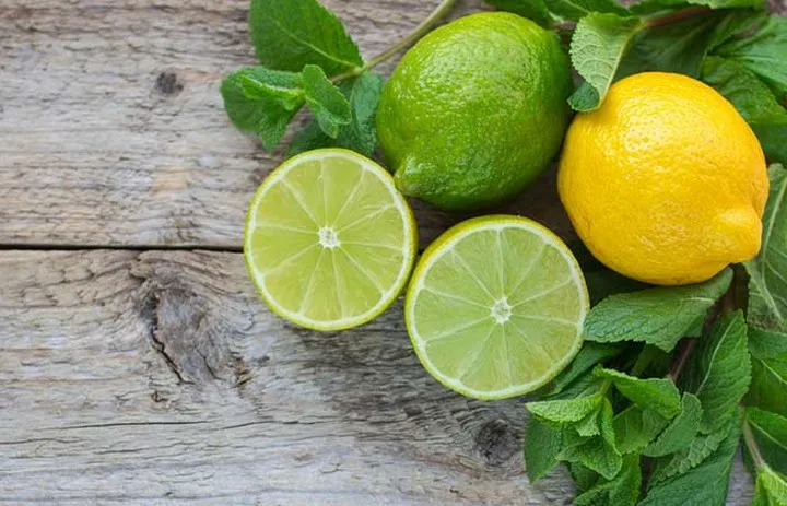 Tác dụng bất ngờ của lá bạc hà đối với làn da - Ảnh 3. Tác dụng bất ngờ của lá bạc hà đối với làn da - Ảnh 3.