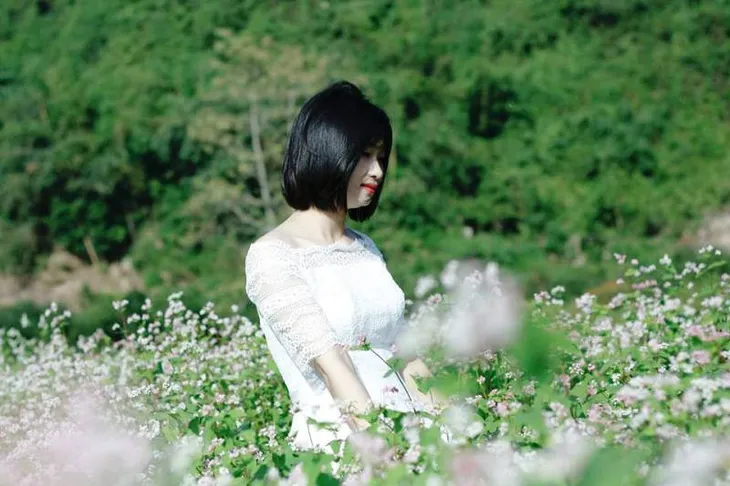 “Lạc trôi” giữa vườn tam giác mạch khoe sắc ở di sản Tràng An - Ảnh 11. “Lạc trôi” giữa vườn tam giác mạch khoe sắc ở di sản Tràng An - Ảnh 11.