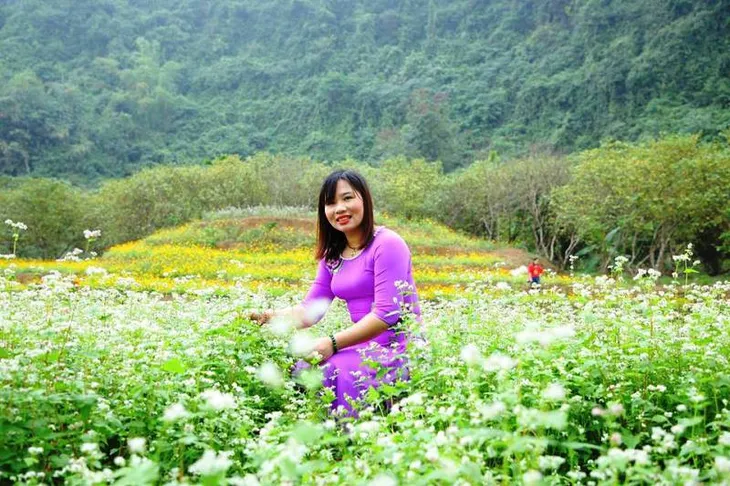 “Lạc trôi” giữa vườn tam giác mạch khoe sắc ở di sản Tràng An - Ảnh 15. “Lạc trôi” giữa vườn tam giác mạch khoe sắc ở di sản Tràng An - Ảnh 15.