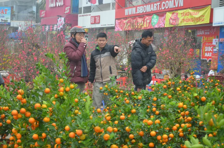 Chợ hoa Hoàng Hoa Thám rực rỡ, náo nhiệt ngày cận Tết - Ảnh 1. Chợ hoa Hoàng Hoa Thám rực rỡ, náo nhiệt ngày cận Tết - Ảnh 1.