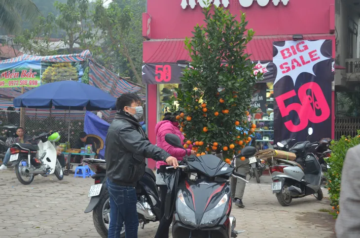Chợ hoa Hoàng Hoa Thám rực rỡ, náo nhiệt ngày cận Tết - Ảnh 3. Chợ hoa Hoàng Hoa Thám rực rỡ, náo nhiệt ngày cận Tết - Ảnh 3.