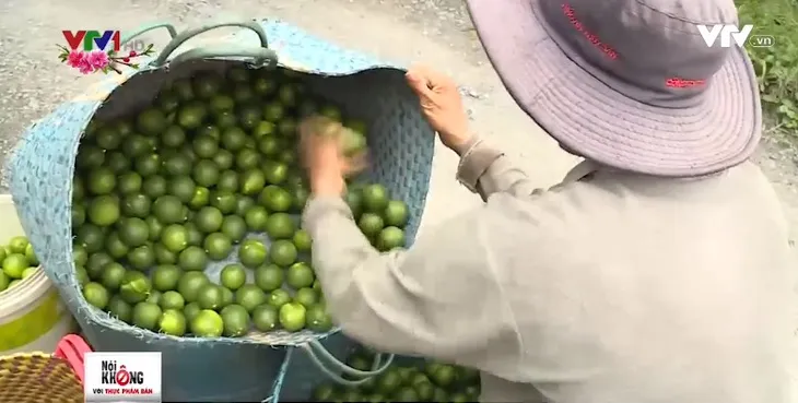 Vì sao người trồng chanh an toàn ở Đồng Tháp chưa mặn mà bán vào siêu thị? - Ảnh 2. Vì sao người trồng chanh an toàn ở Đồng Tháp chưa mặn mà bán vào siêu thị? - Ảnh 2.
