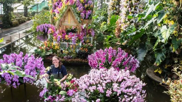 Lễ hội hoa lan Thái ở London, Anh - Điểm đến thú vị đầu tháng 3/2018 - Ảnh 1. Lễ hội hoa lan Thái ở London, Anh - Điểm đến thú vị đầu tháng 3/2018 - Ảnh 1.