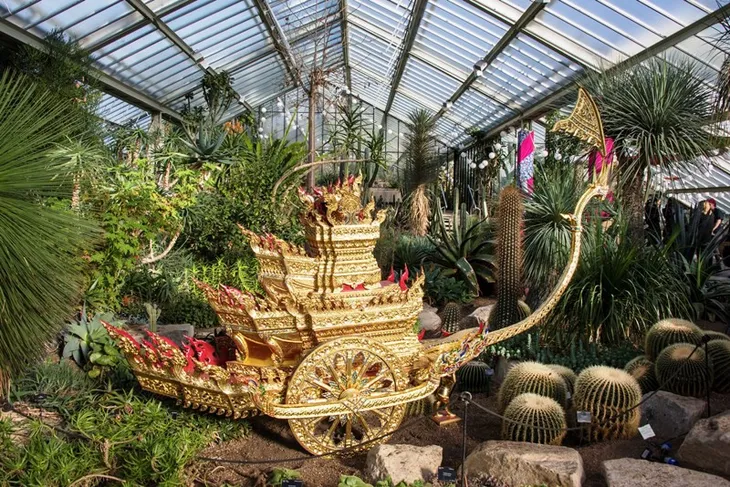 Lễ hội hoa lan Thái ở London, Anh - Điểm đến thú vị đầu tháng 3/2018 - Ảnh 3. Lễ hội hoa lan Thái ở London, Anh - Điểm đến thú vị đầu tháng 3/2018 - Ảnh 3.