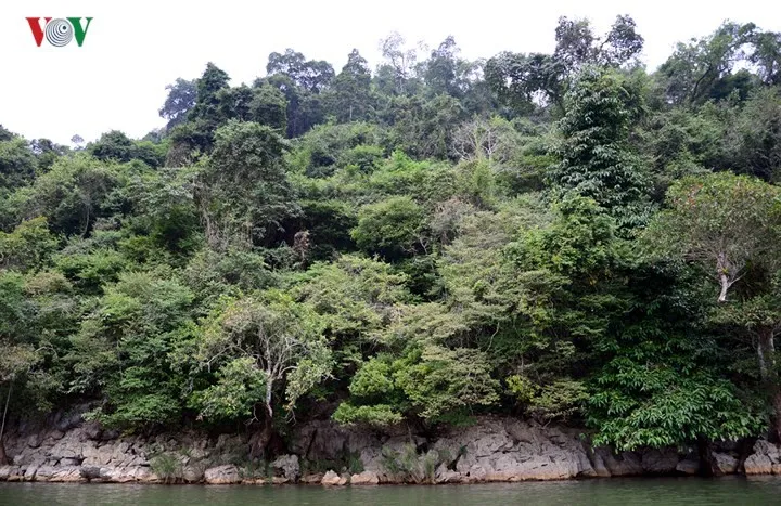 Cảnh đẹp “khó hững hờ” ở hồ Ba Bể trong tiết trời xuân - Ảnh 13. Cảnh đẹp “khó hững hờ” ở hồ Ba Bể trong tiết trời xuân - Ảnh 13.