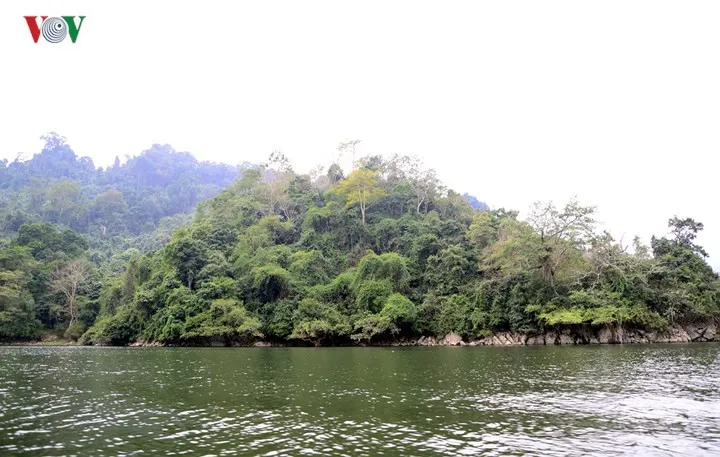 Cảnh đẹp “khó hững hờ” ở hồ Ba Bể trong tiết trời xuân - Ảnh 4. Cảnh đẹp “khó hững hờ” ở hồ Ba Bể trong tiết trời xuân - Ảnh 4.