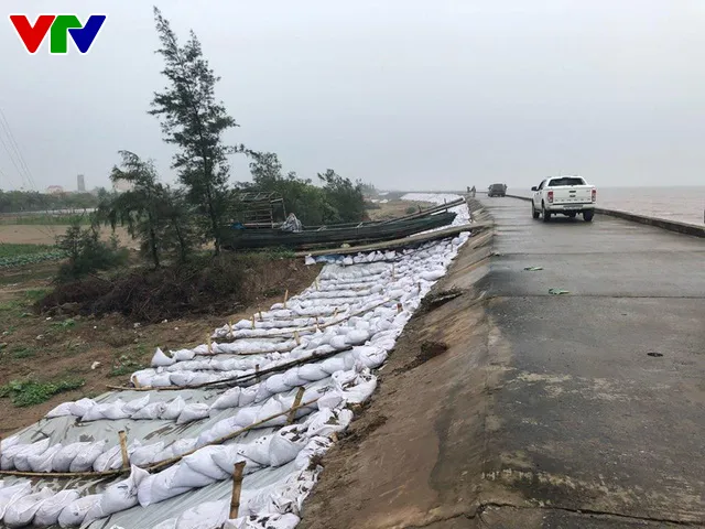Đê biển Nam Định mong manh trước bão - Ảnh 1. Đê biển Nam Định mong manh trước bão - Ảnh 1.