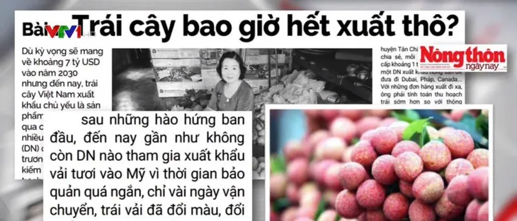 Làm sao để rau quả Việt ít xuất tươi? - Ảnh 1. Làm sao để rau quả Việt ít xuất tươi? - Ảnh 1.