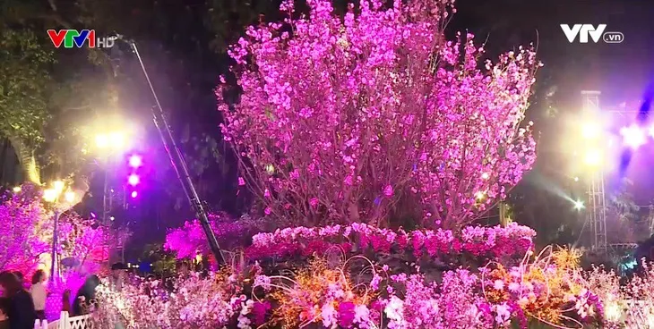 Hấp dẫn Lễ hội giao lưu văn hóa Nhật Bản 2018 tại Hà Nội - Ảnh 2. Hấp dẫn Lễ hội giao lưu văn hóa Nhật Bản 2018 tại Hà Nội - Ảnh 2.