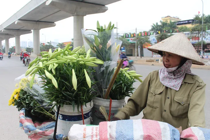 Hoa loa kèn đầu mùa: Năng suất thấp, rớt giá tại ruộng - Ảnh 1. Hoa loa kèn đầu mùa: Năng suất thấp, rớt giá tại ruộng - Ảnh 1.