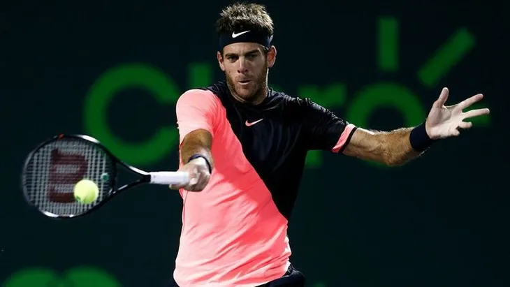 Miami mở rộng 2018: Del Potro dừng bước tại bán kết - Ảnh 3. Miami mở rộng 2018: Del Potro dừng bước tại bán kết - Ảnh 3.