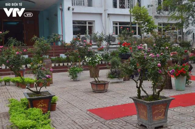 Ngắm hàng trăm cây hoa khoe sắc tại Lễ hội Hoa hồng 2018 - Ảnh 9. Ngắm hàng trăm cây hoa khoe sắc tại Lễ hội Hoa hồng 2018 - Ảnh 9.