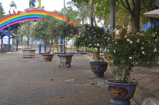 Ngắm hàng trăm cây hoa khoe sắc tại Lễ hội Hoa hồng 2018 - Ảnh 14. Ngắm hàng trăm cây hoa khoe sắc tại Lễ hội Hoa hồng 2018 - Ảnh 14.