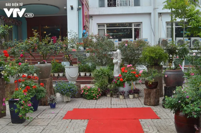 Ngắm hàng trăm cây hoa khoe sắc tại Lễ hội Hoa hồng 2018 - Ảnh 19. Ngắm hàng trăm cây hoa khoe sắc tại Lễ hội Hoa hồng 2018 - Ảnh 19.