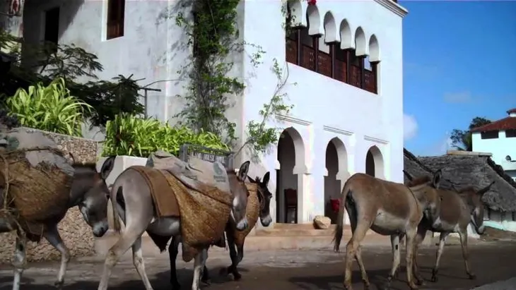 Campuchia và Kenya bảo tồn di sản theo cách nào? - Ảnh 1. Campuchia và Kenya bảo tồn di sản theo cách nào? - Ảnh 1.