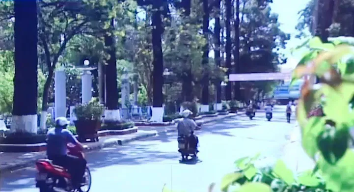 Trà Vinh - Thành phố dưới tán cổ thụ - Ảnh 1. Trà Vinh - Thành phố dưới tán cổ thụ - Ảnh 1.