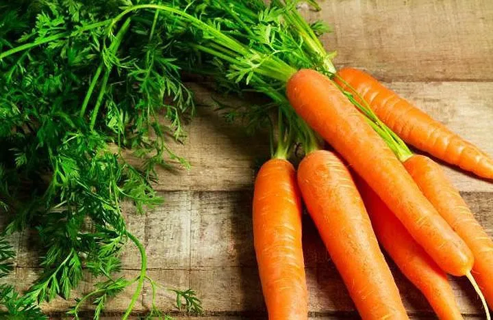 Những thực phẩm ăn no mà không lo béo - Ảnh 14. Những thực phẩm ăn no mà không lo béo - Ảnh 14.