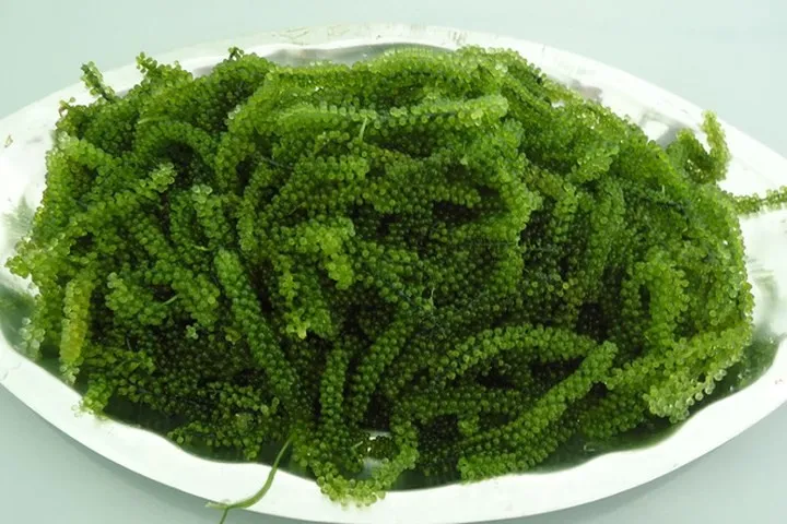 Những thực phẩm ăn no mà không lo béo - Ảnh 6. Những thực phẩm ăn no mà không lo béo - Ảnh 6.