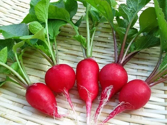 Những thực phẩm ăn no mà không lo béo - Ảnh 9. Những thực phẩm ăn no mà không lo béo - Ảnh 9.