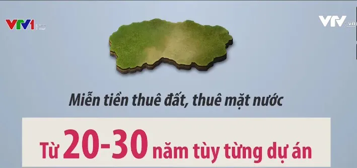 Ưu đãi thuế ở đặc khu kinh tế: Hấp dẫn nhưng chưa đủ - Ảnh 3. Ưu đãi thuế ở đặc khu kinh tế: Hấp dẫn nhưng chưa đủ - Ảnh 3.