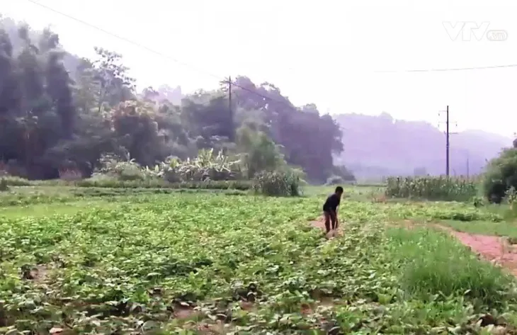 Lào Cai: Người dân bị thiệt hại do bùn thải của nhà máy hóa chất - Ảnh 1. Lào Cai: Người dân bị thiệt hại do bùn thải của nhà máy hóa chất - Ảnh 1.